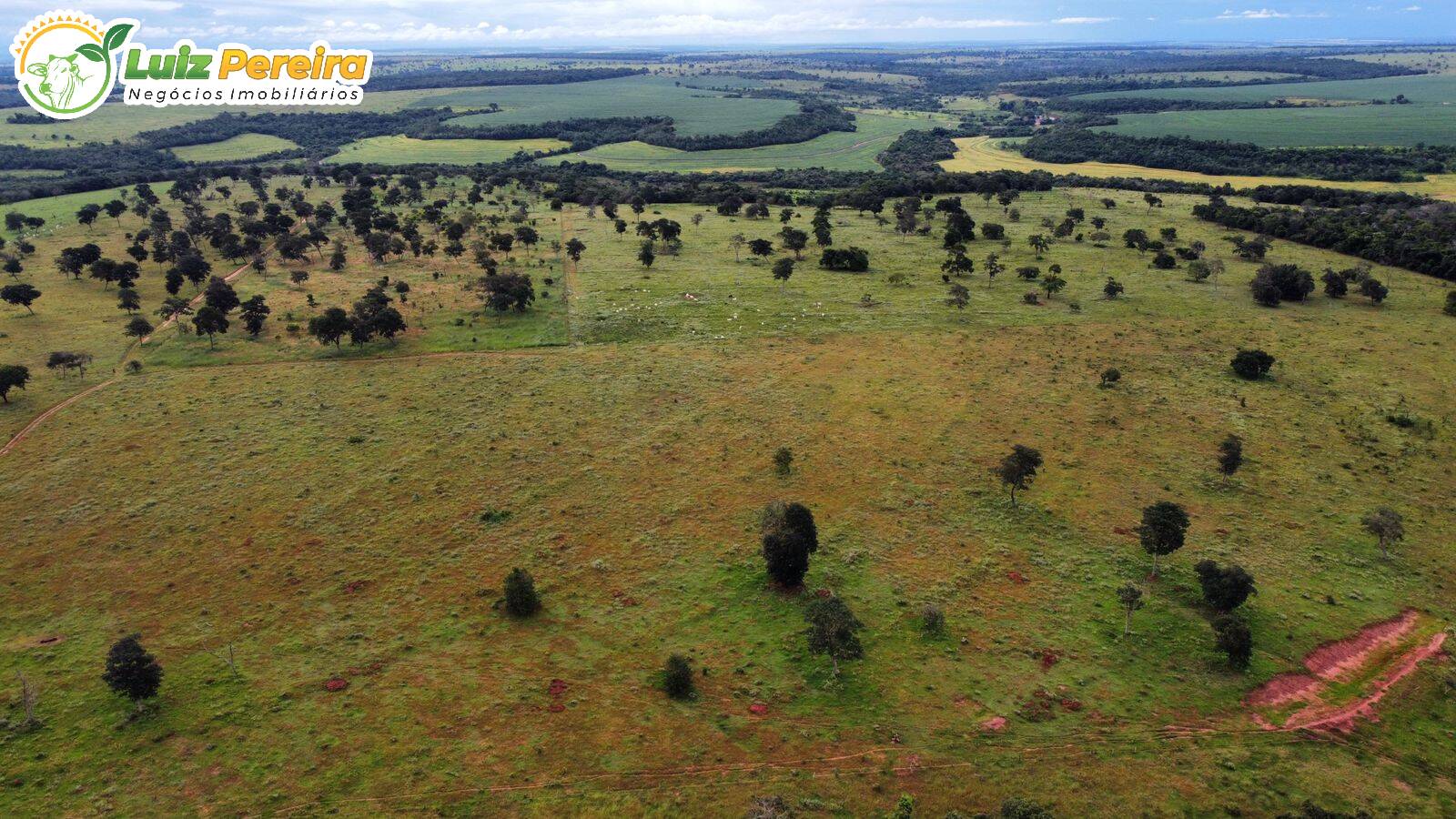 Fazenda à venda, 484m² - Foto 5