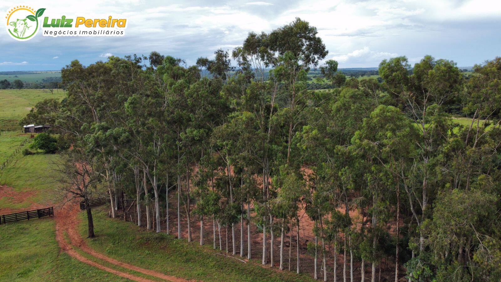 Fazenda à venda, 484m² - Foto 9