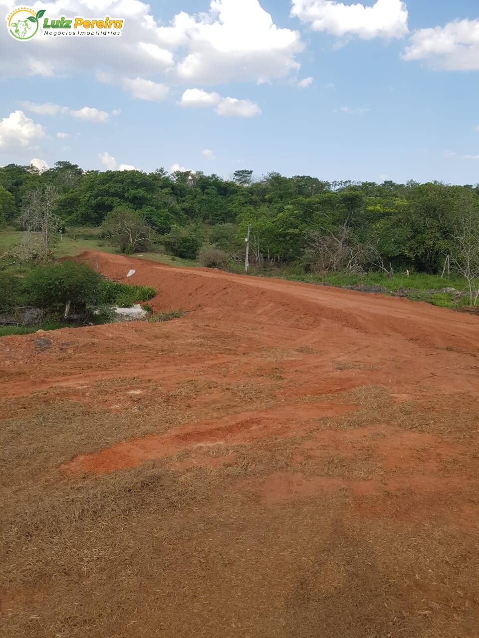 Fazenda à venda, 484m² - Foto 19