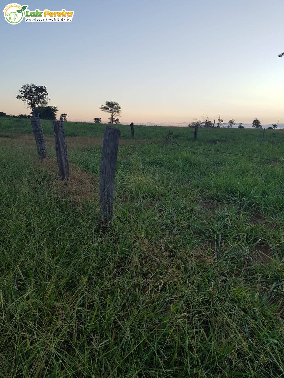 Fazenda à venda, 484m² - Foto 23