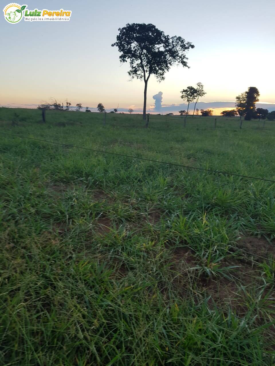 Fazenda à venda, 484m² - Foto 13