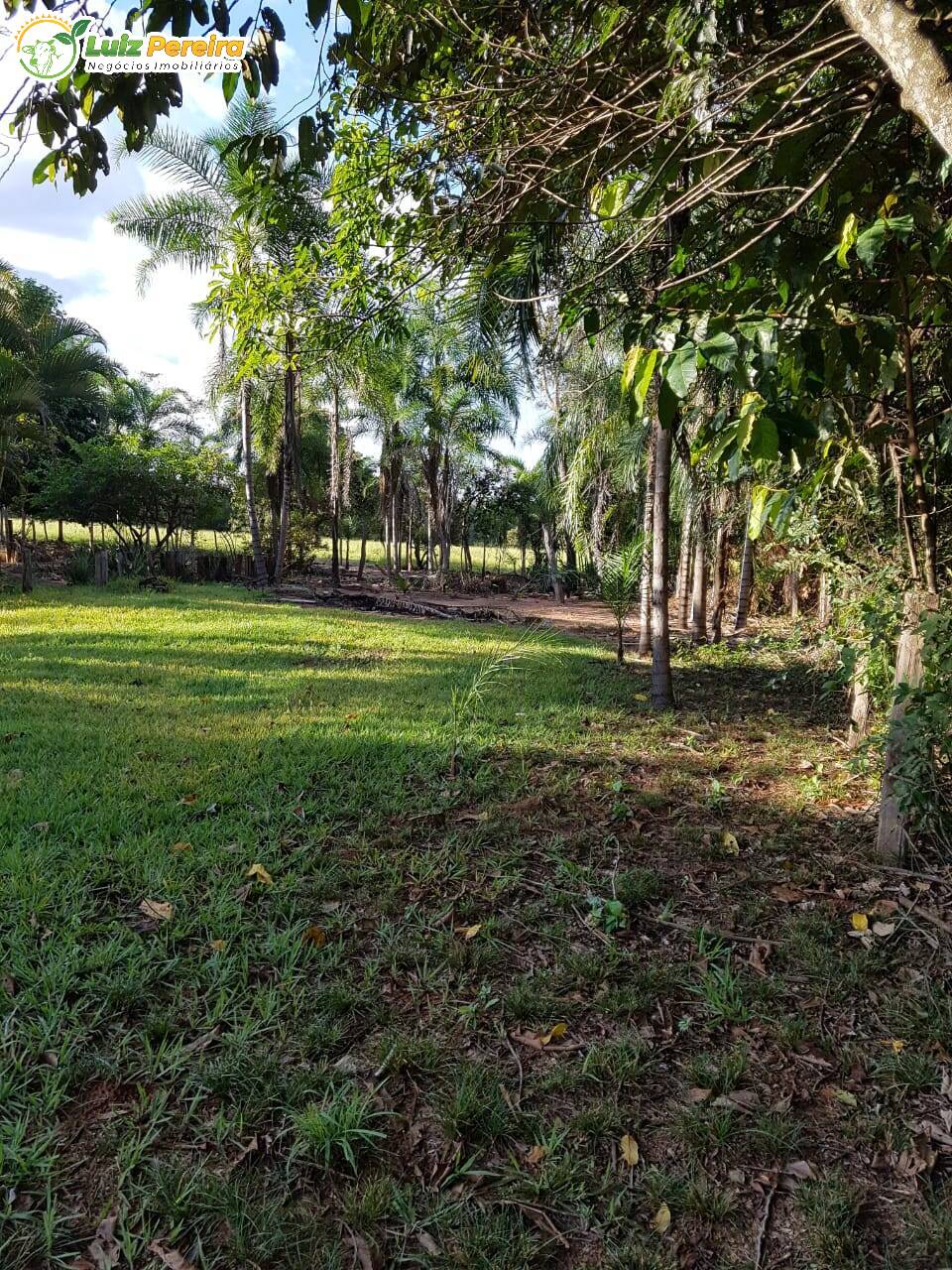 Fazenda à venda, 484m² - Foto 14