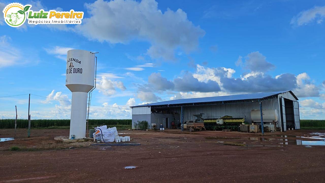 Fazenda à venda, 1180m² - Foto 17