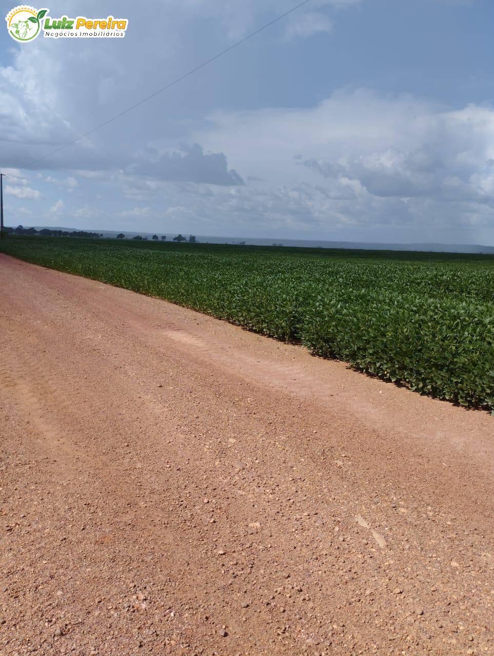 Fazenda à venda, 1180m² - Foto 13