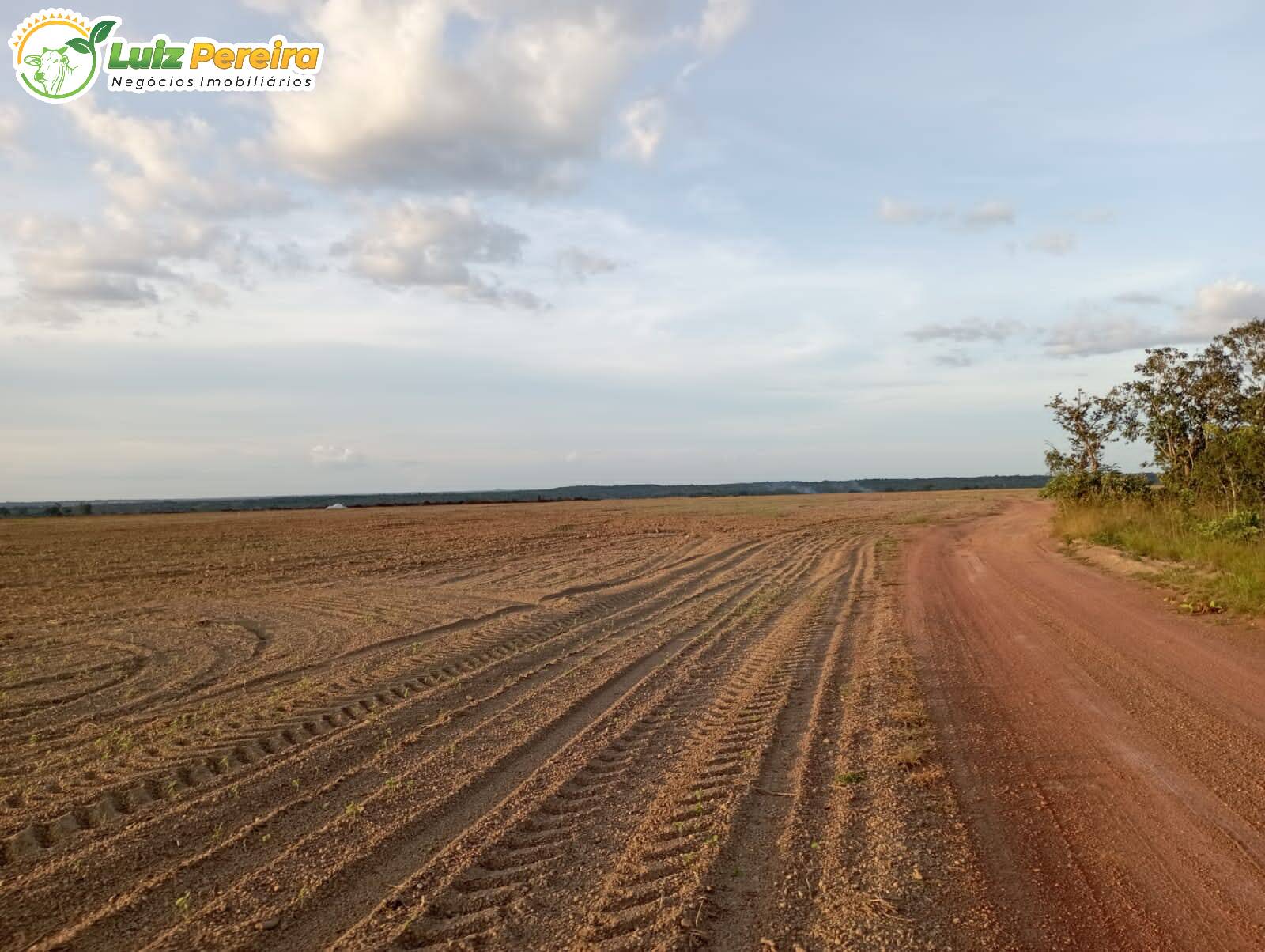 Fazenda à venda, 1180m² - Foto 36