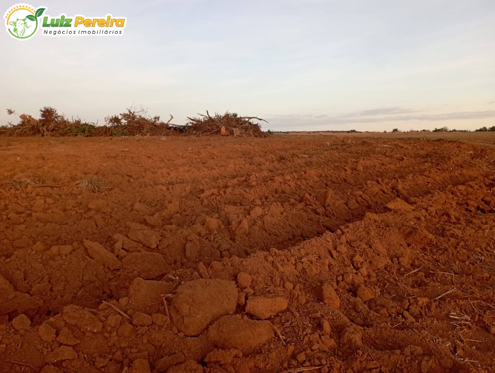 Fazenda à venda, 1180m² - Foto 37