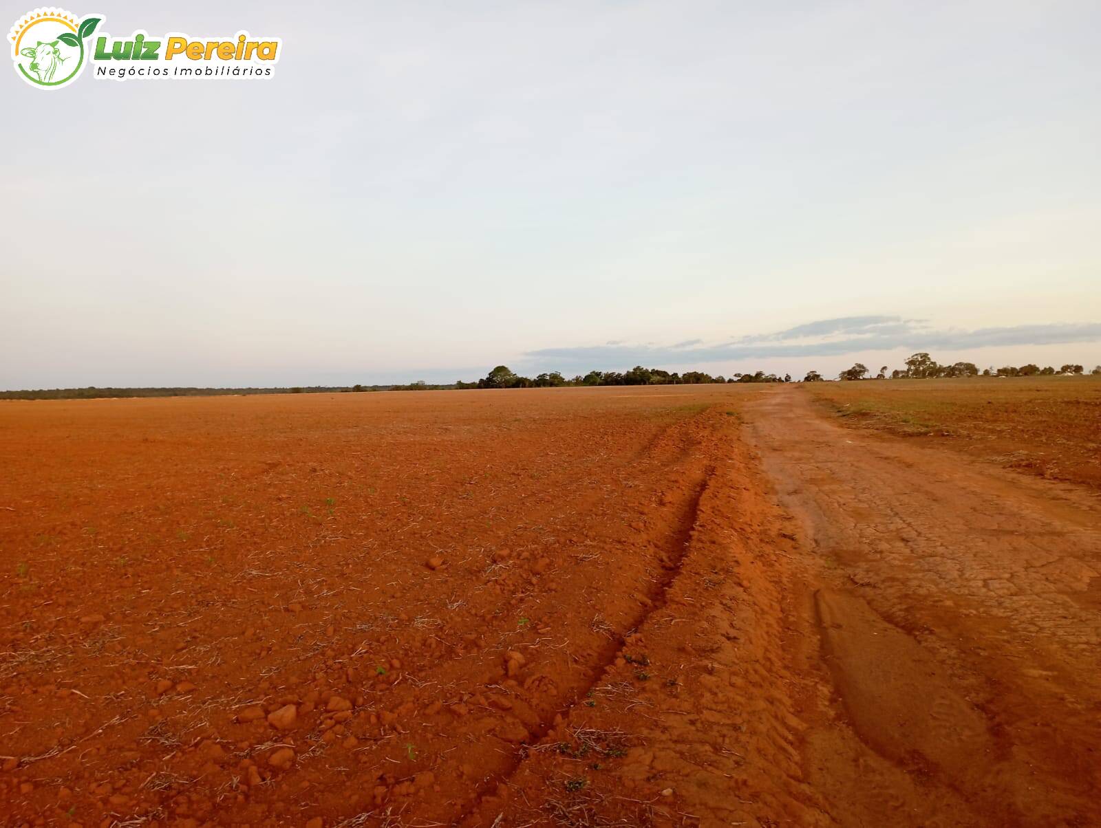 Fazenda à venda, 1180m² - Foto 46