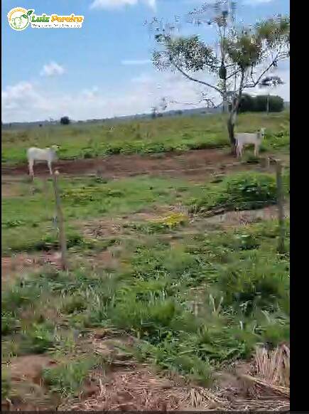 Fazenda à venda, 1839m² - Foto 1