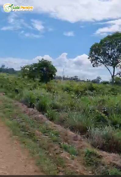 Fazenda à venda, 1839m² - Foto 2