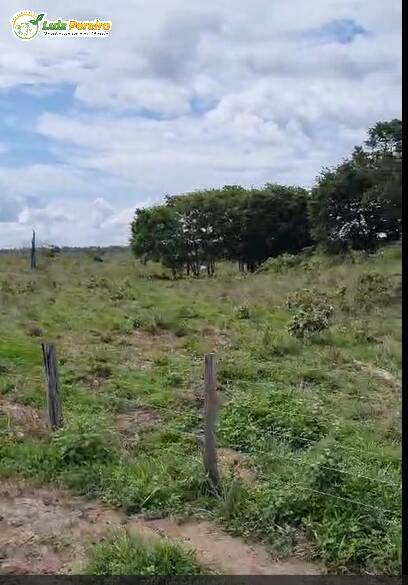 Fazenda à venda, 1839m² - Foto 4