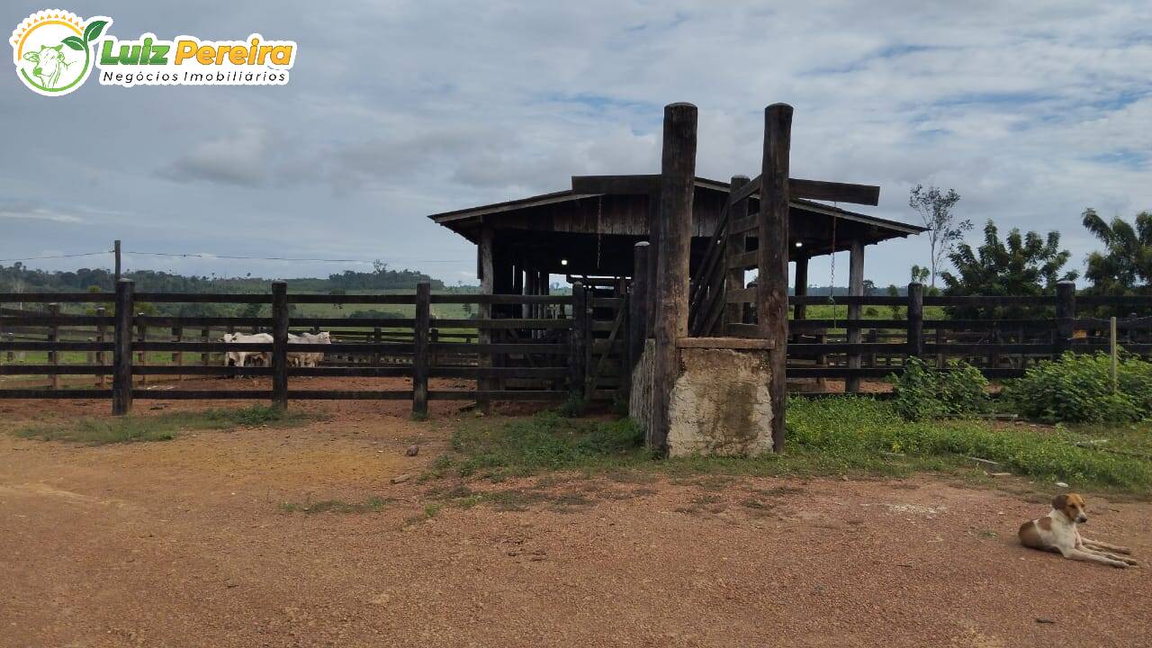 Fazenda à venda, 660m² - Foto 8