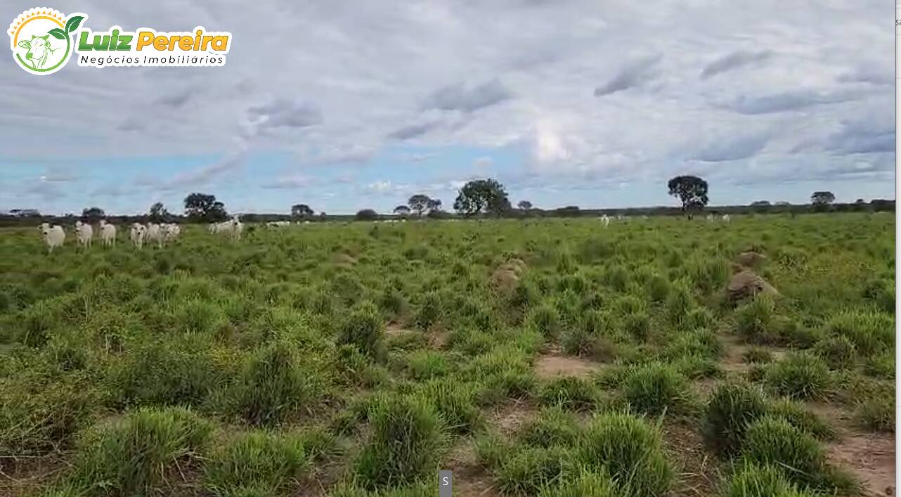 Fazenda à venda, 1195m² - Foto 8