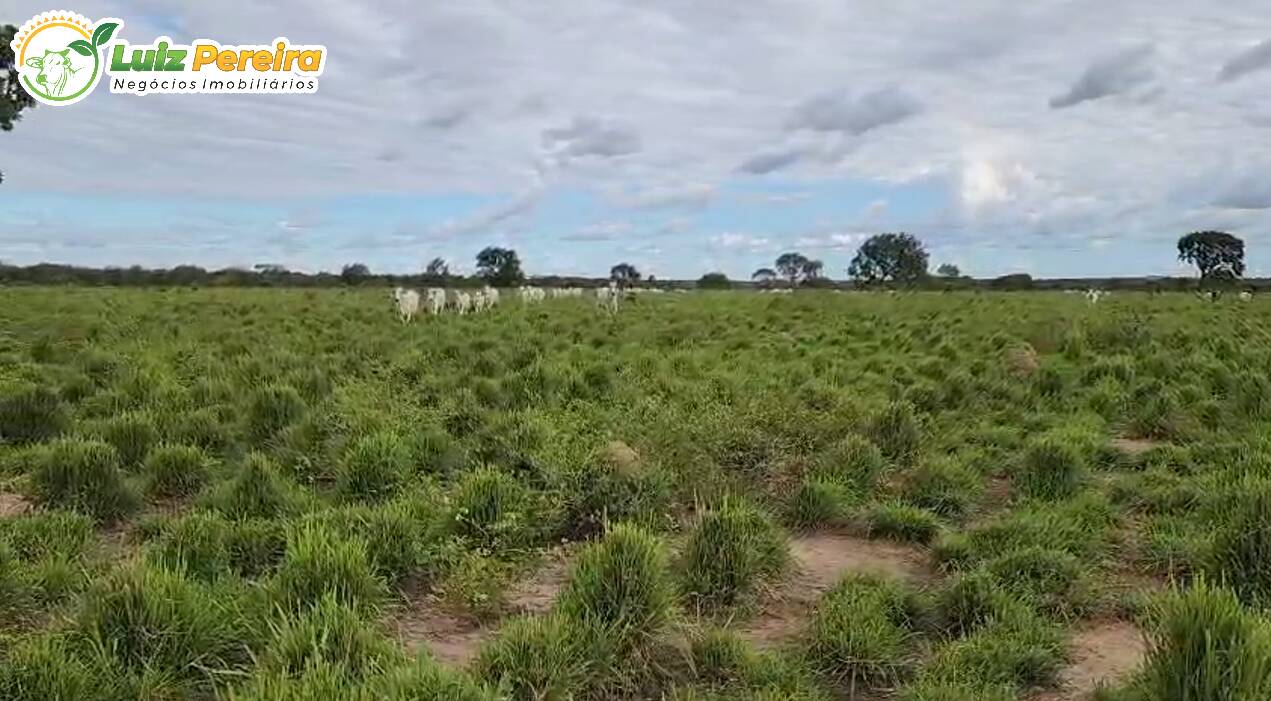 Fazenda à venda, 1195m² - Foto 4