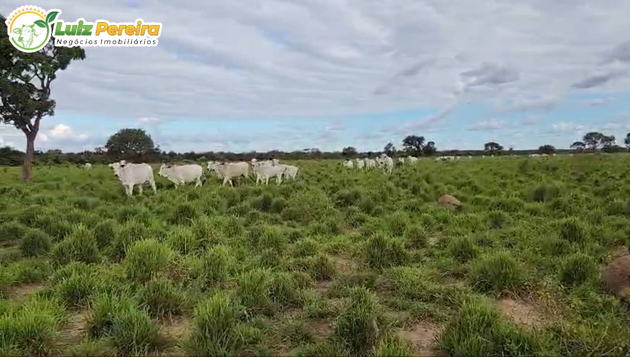 Fazenda à venda, 1195m² - Foto 1