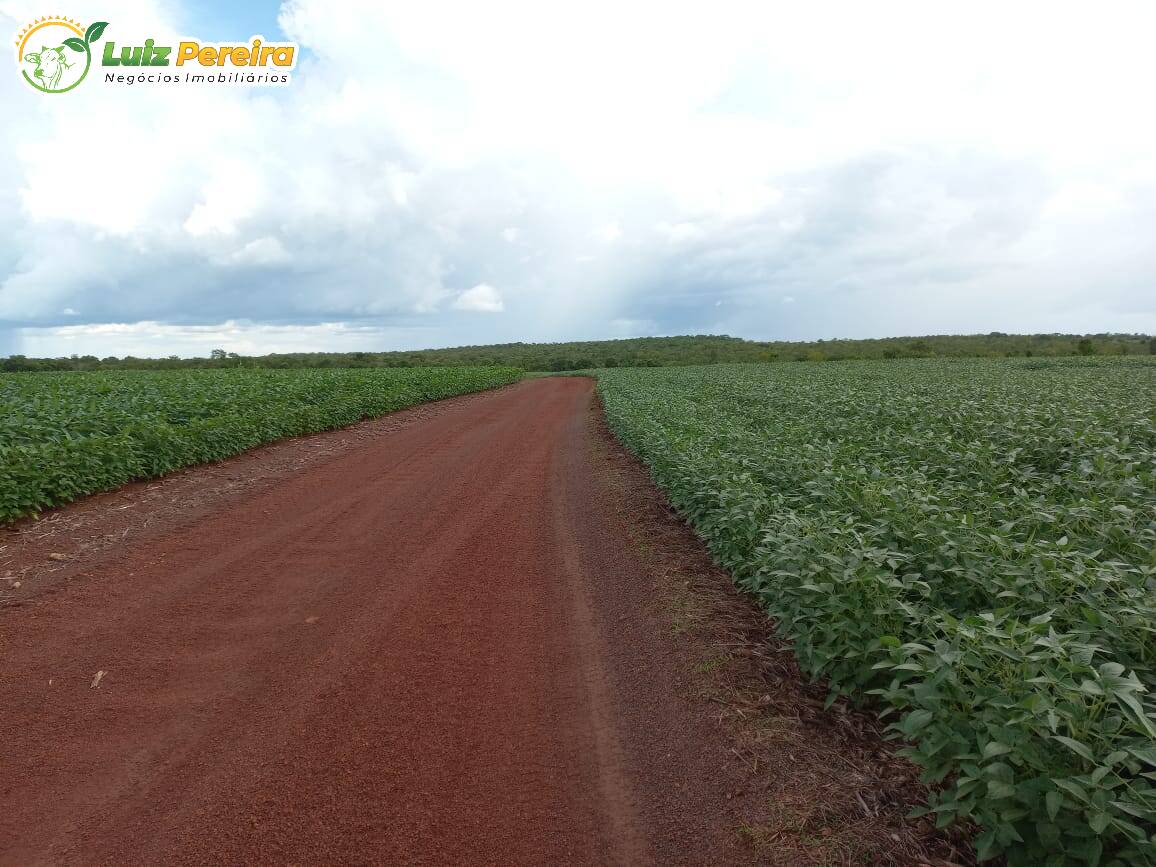 Fazenda à venda, 2444m² - Foto 6