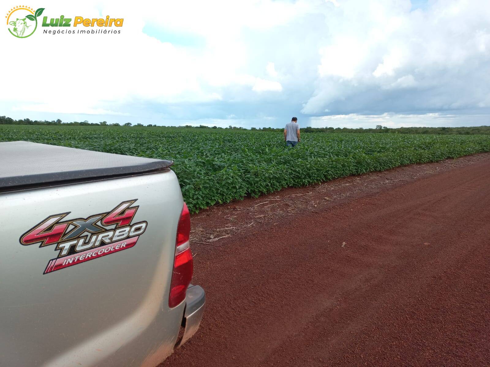 Fazenda à venda, 2444m² - Foto 5