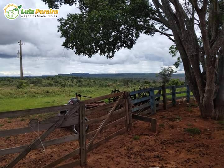 Fazenda à venda, 5800m² - Foto 11