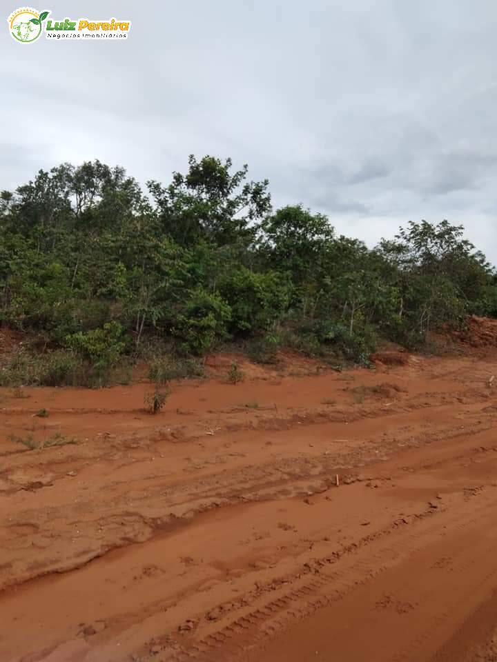 Fazenda à venda, 5800m² - Foto 8