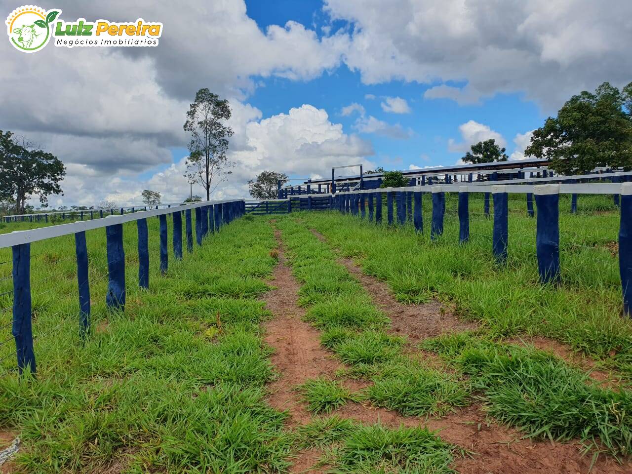 Fazenda à venda, 1285m² - Foto 5