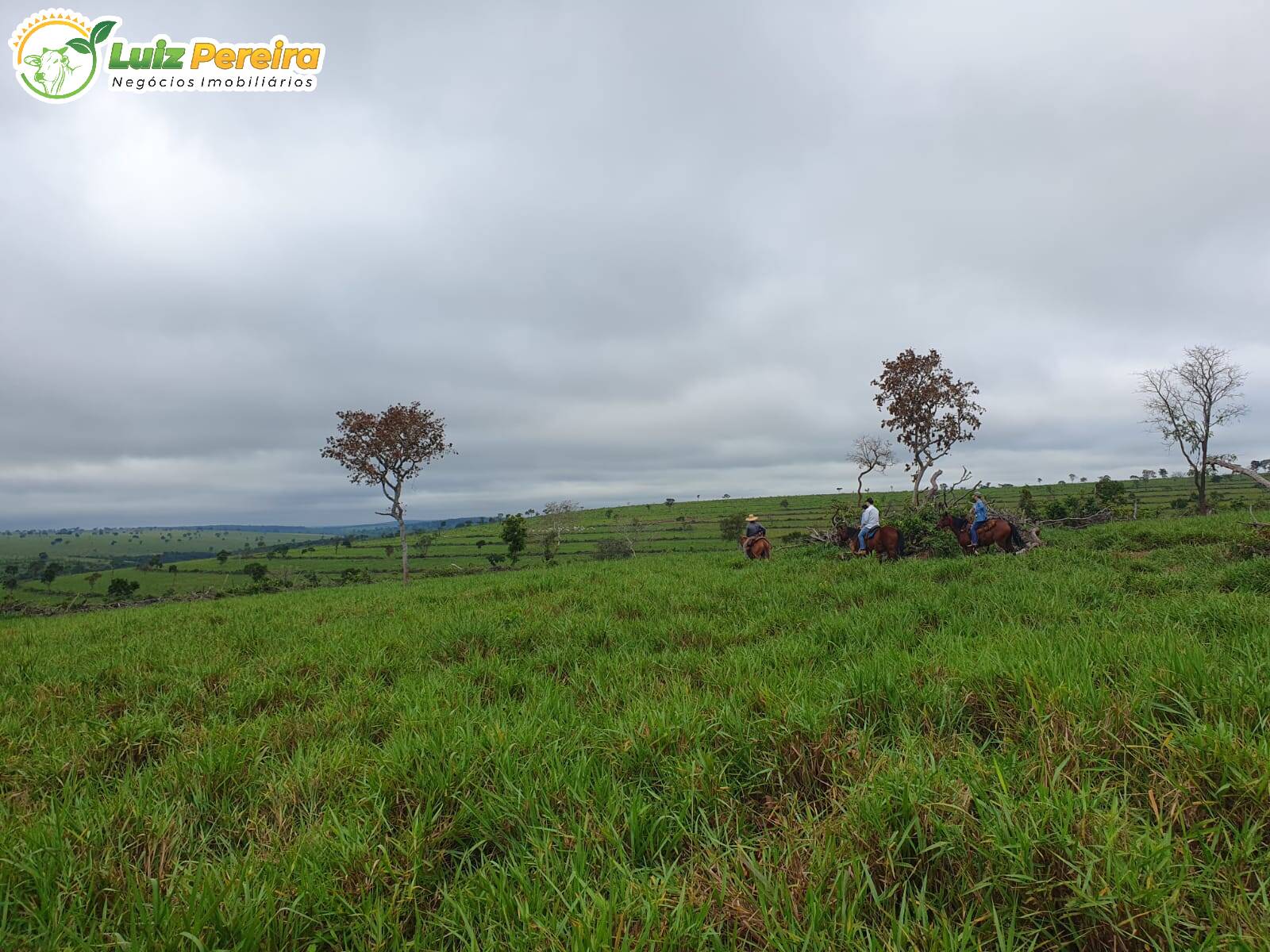 Fazenda à venda, 1285m² - Foto 4