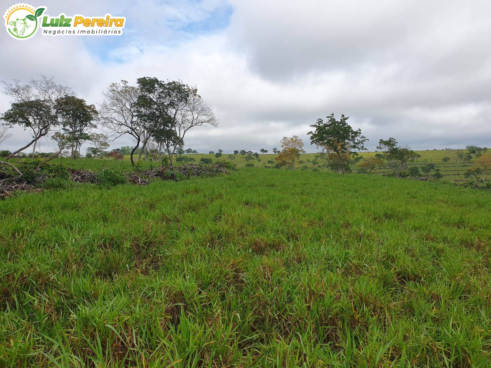 Fazenda à venda, 1285m² - Foto 6