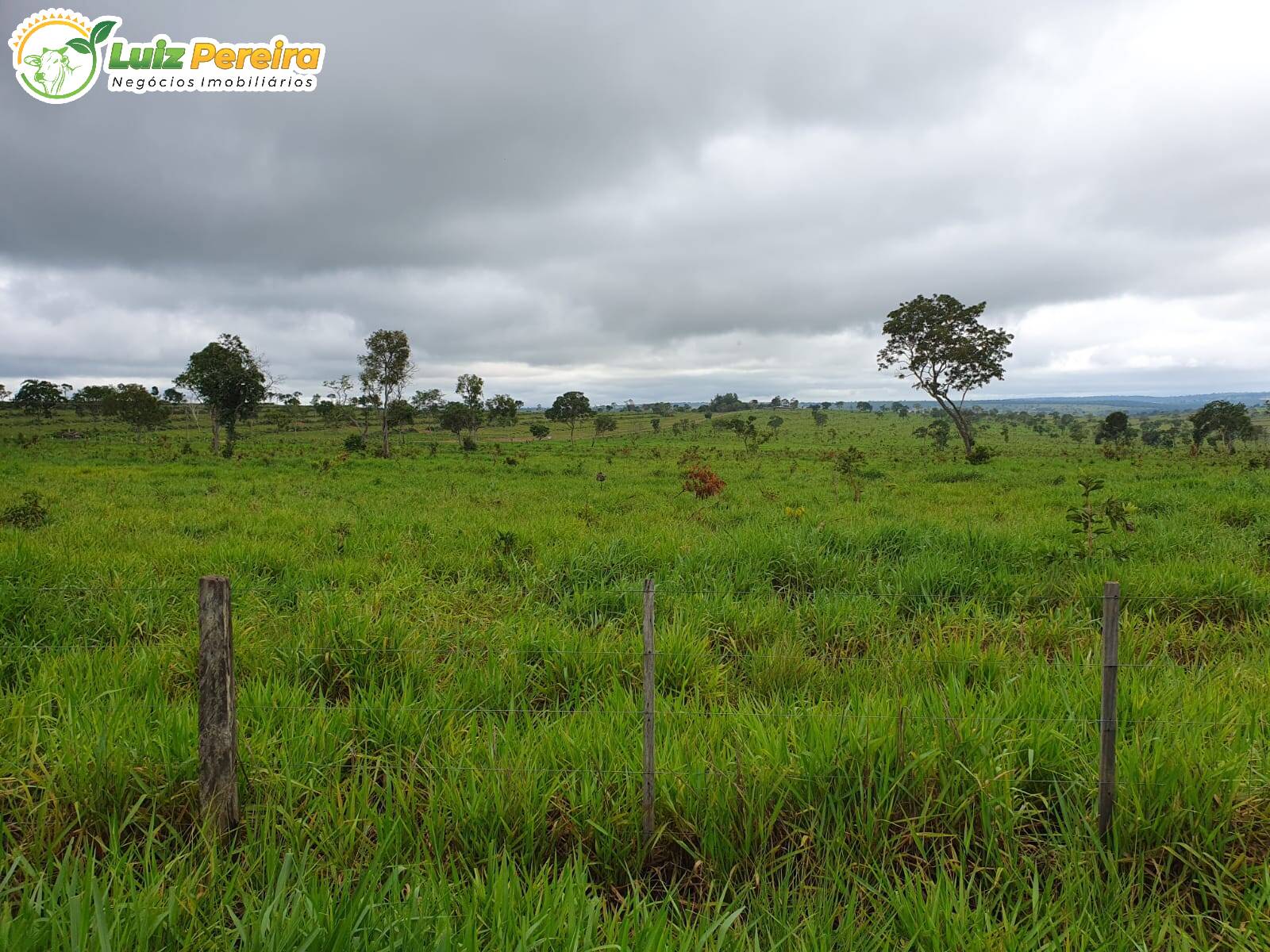 Fazenda à venda, 1285m² - Foto 7