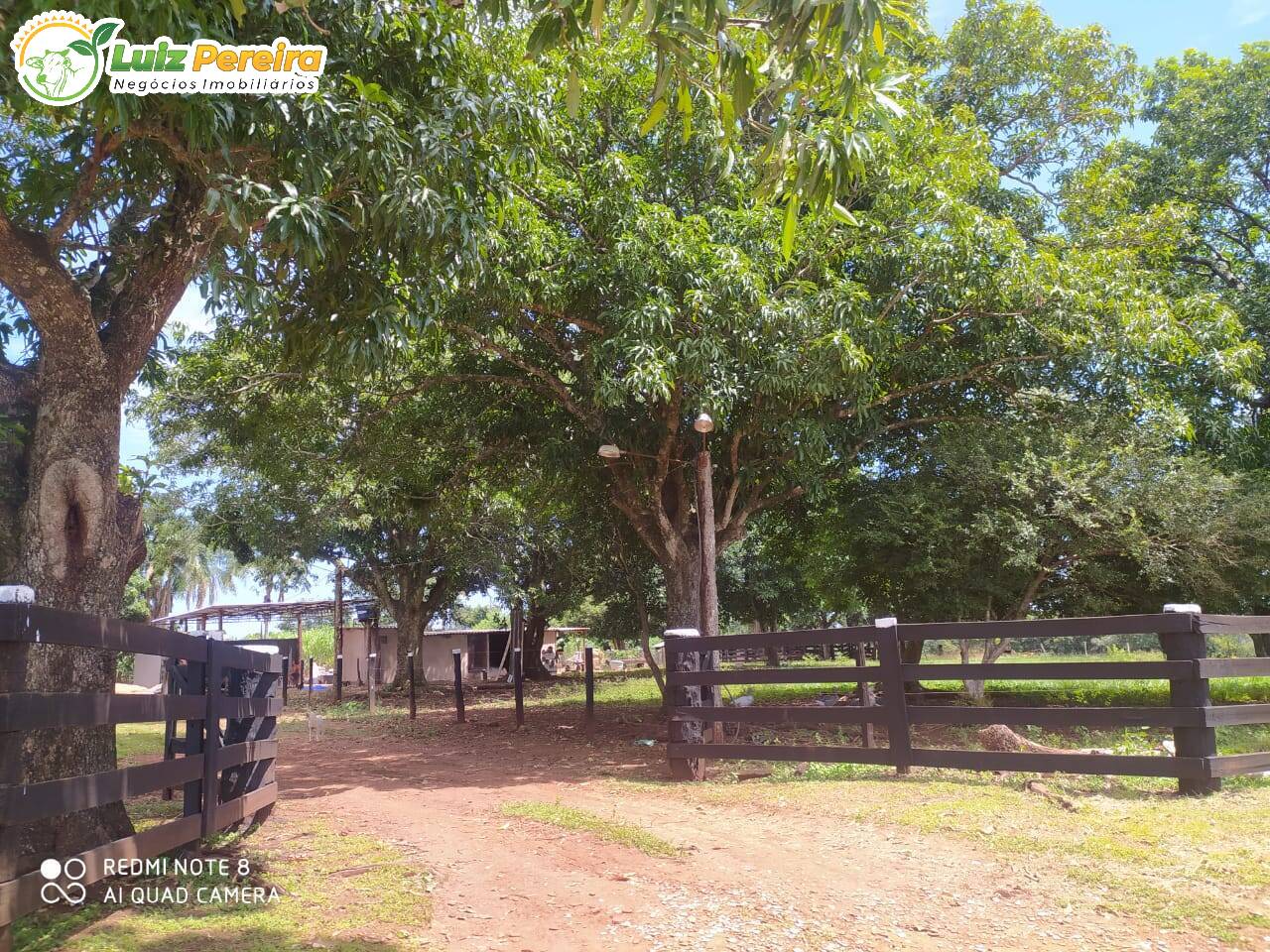 Fazenda à venda, 50m² - Foto 10