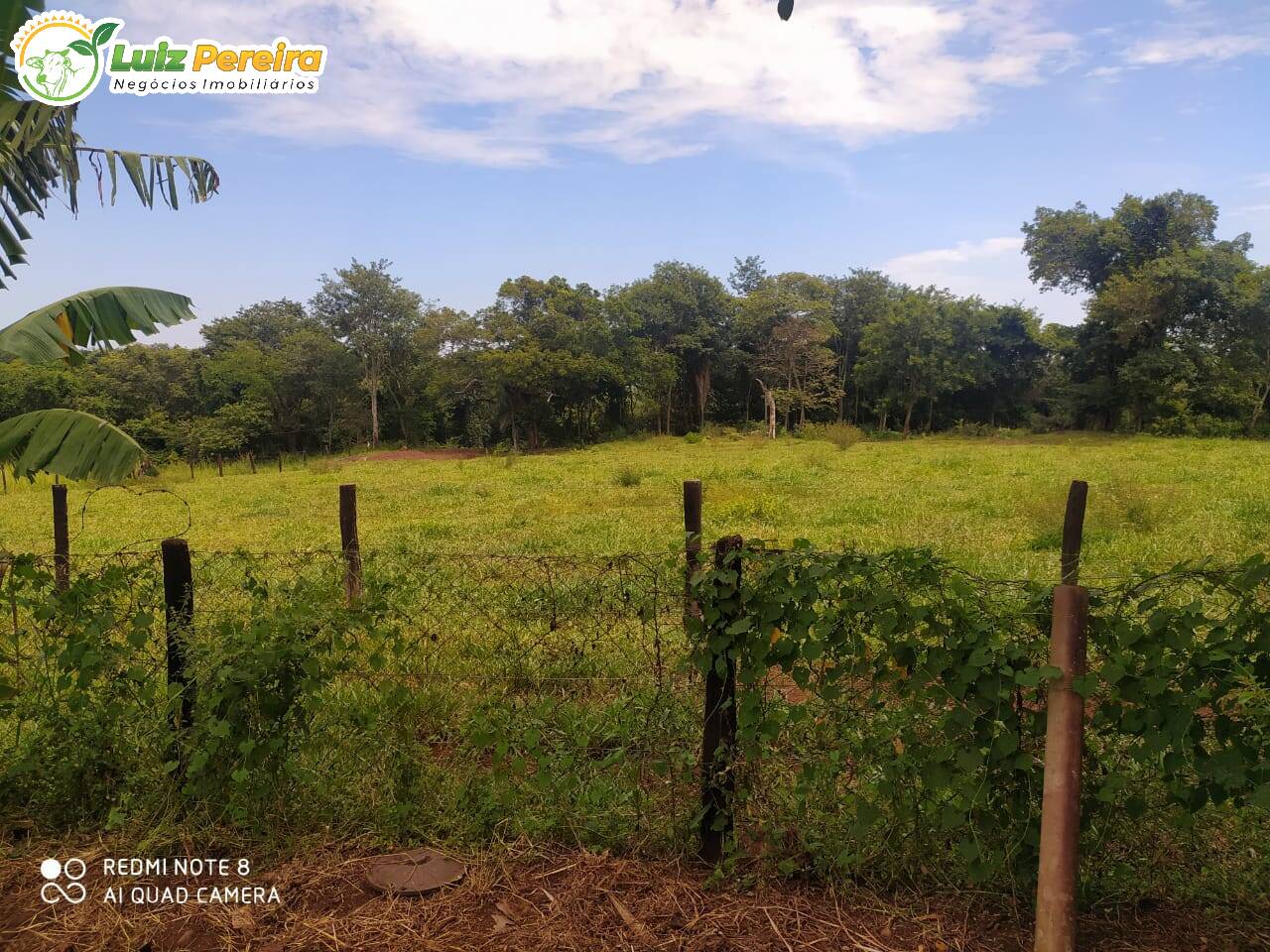 Fazenda à venda, 50m² - Foto 13