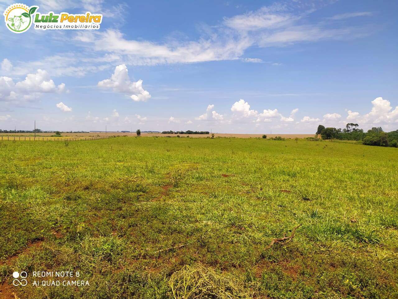 Fazenda à venda, 50m² - Foto 4