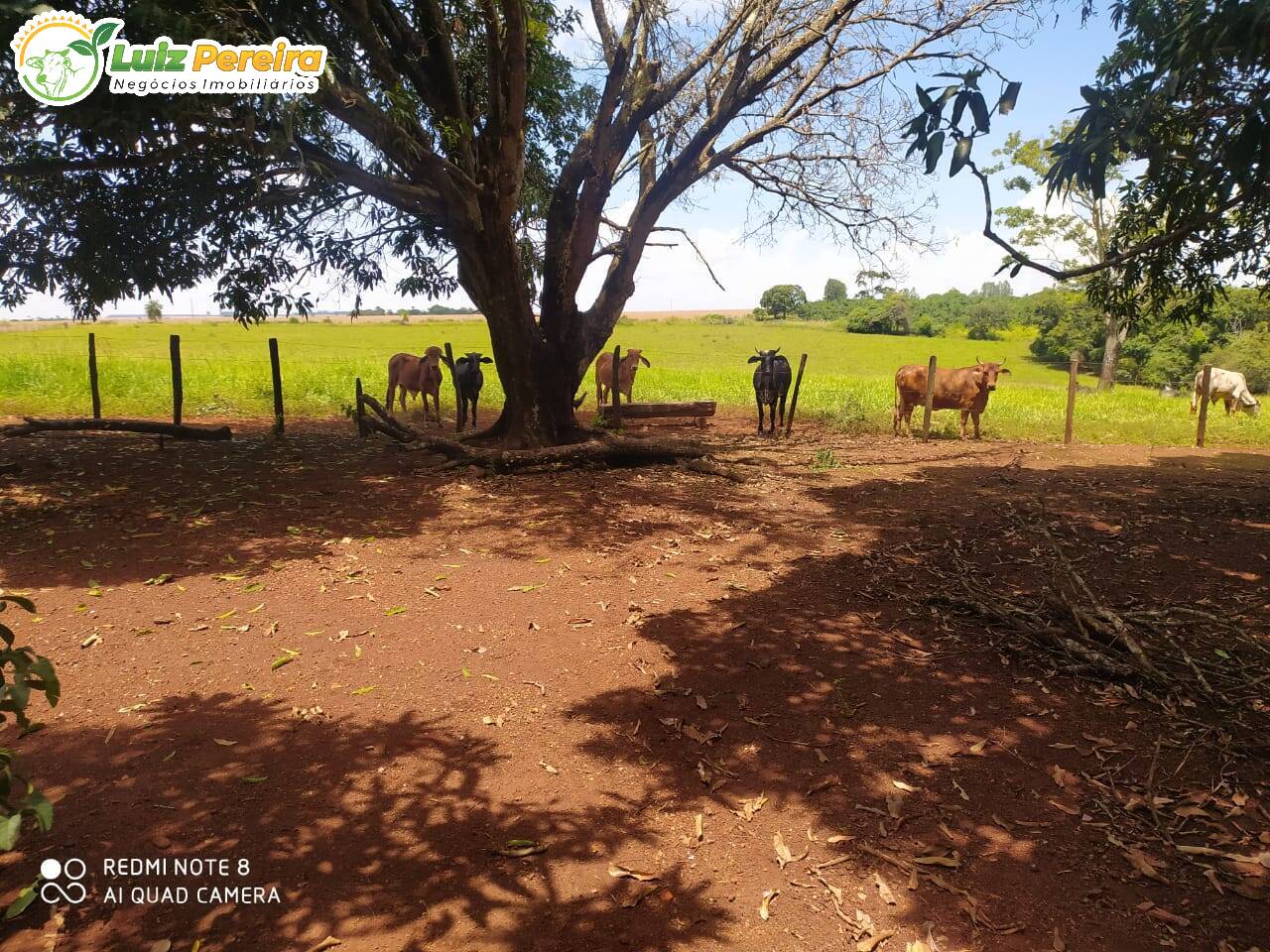 Fazenda à venda, 50m² - Foto 16