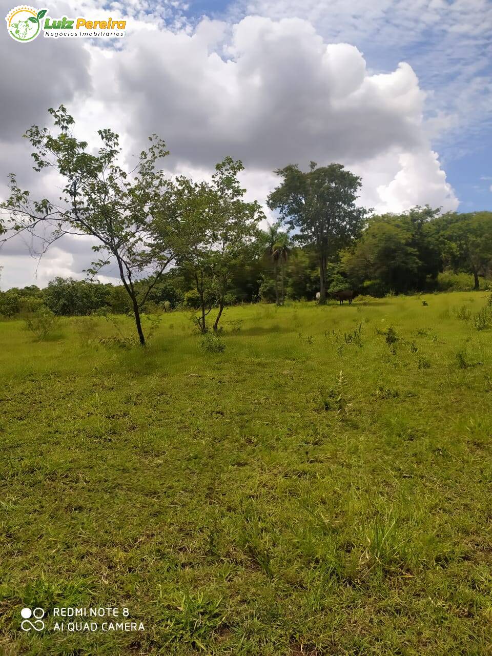 Fazenda à venda, 50m² - Foto 7