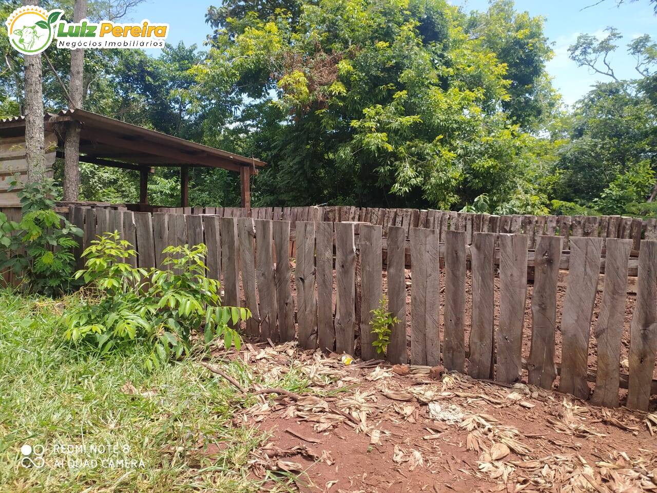 Fazenda à venda, 50m² - Foto 19