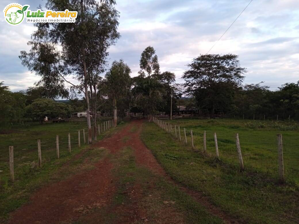 Fazenda à venda, 397m² - Foto 6