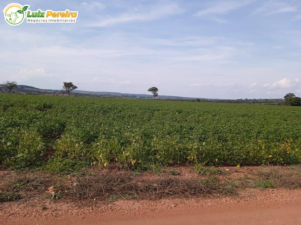 Fazenda à venda, 397m² - Foto 8