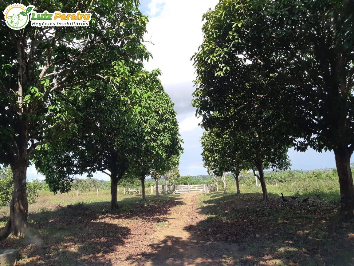 Fazenda à venda, 1645m² - Foto 7