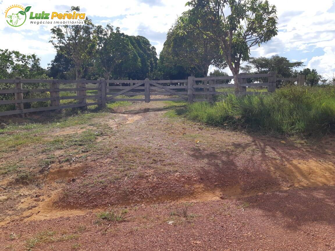 Fazenda à venda, 1645m² - Foto 11