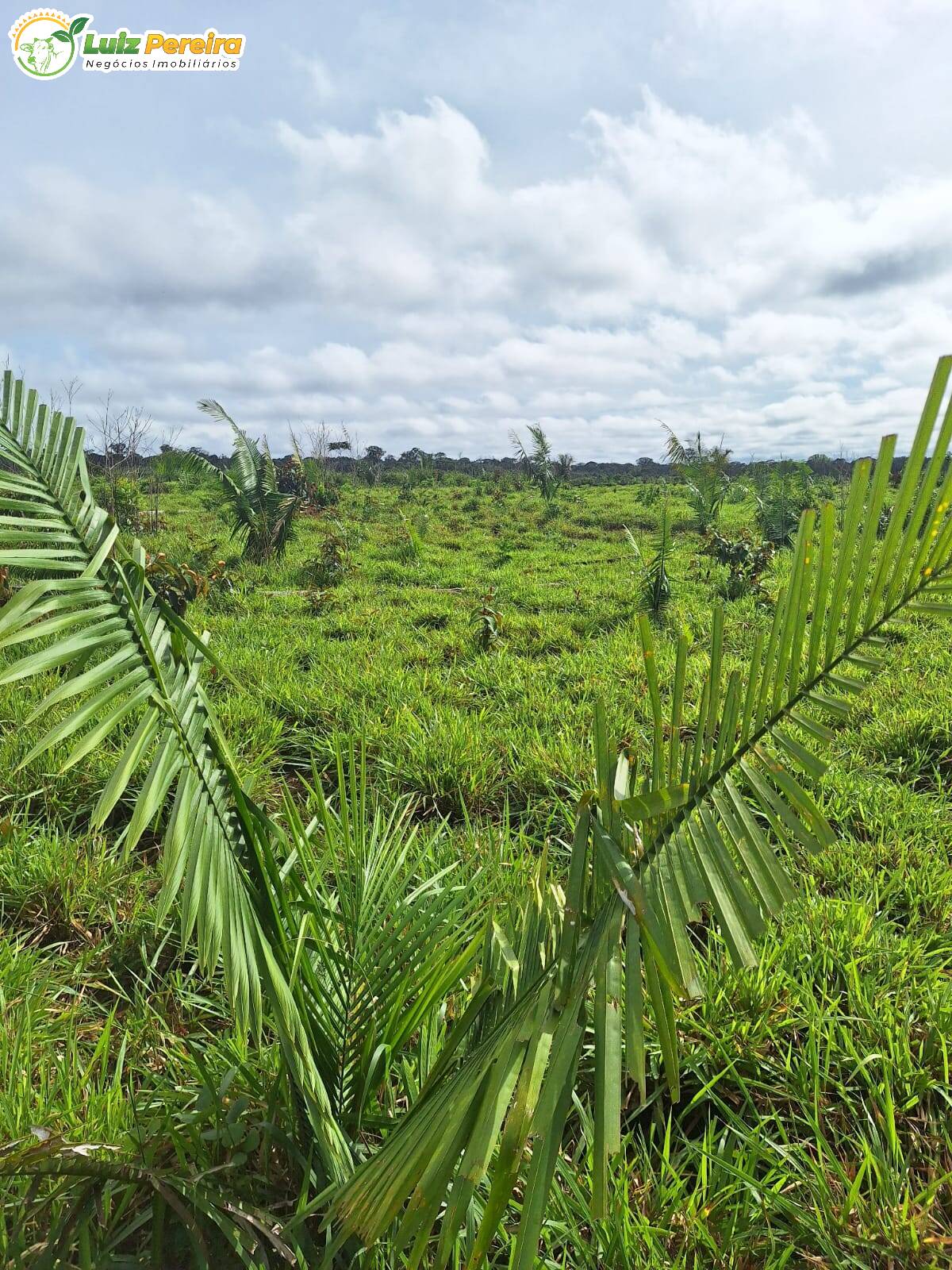 Fazenda à venda, 1645m² - Foto 6