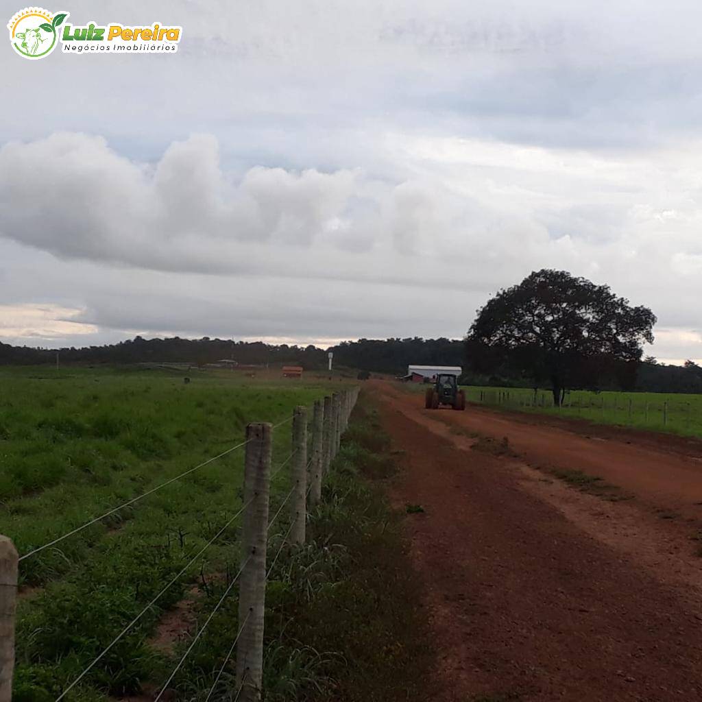 Fazenda à venda, 4530m² - Foto 9