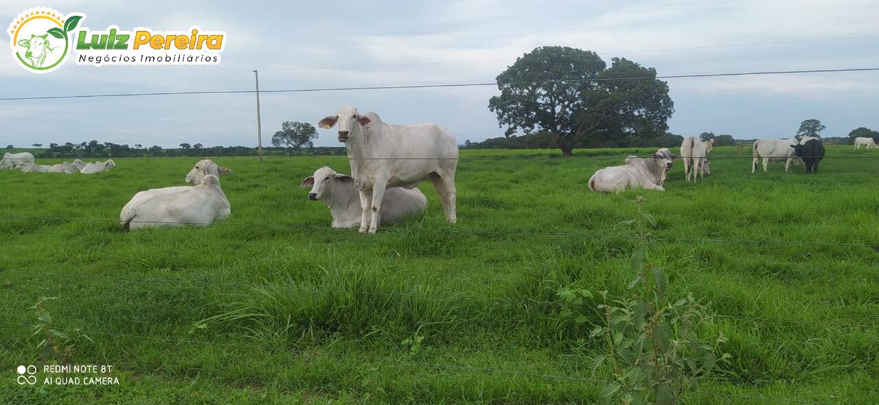 Fazenda à venda, 4530m² - Foto 3