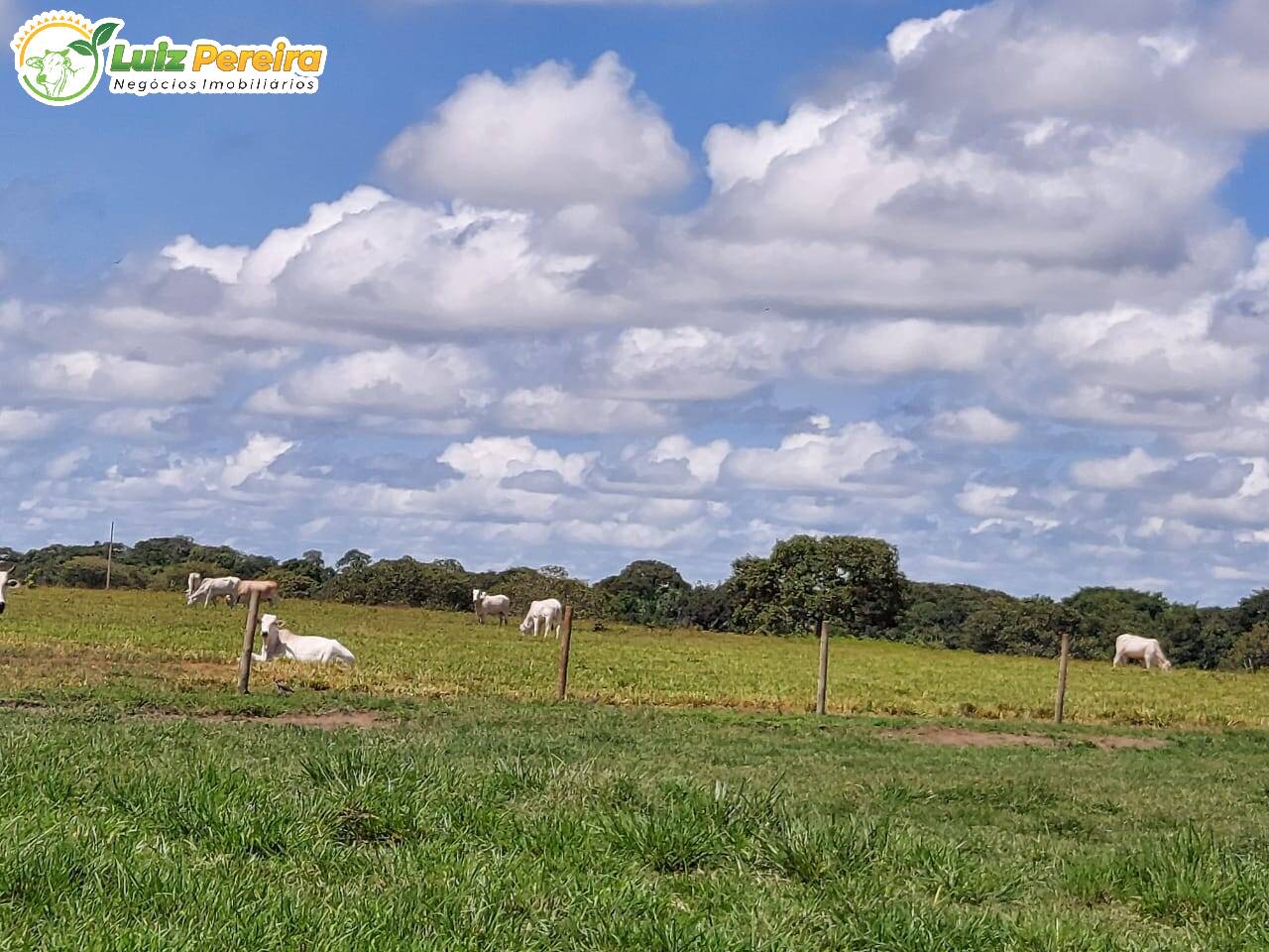 Fazenda à venda, 4530m² - Foto 1