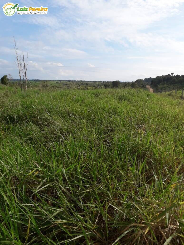 Terreno à venda, 1587m² - Foto 17