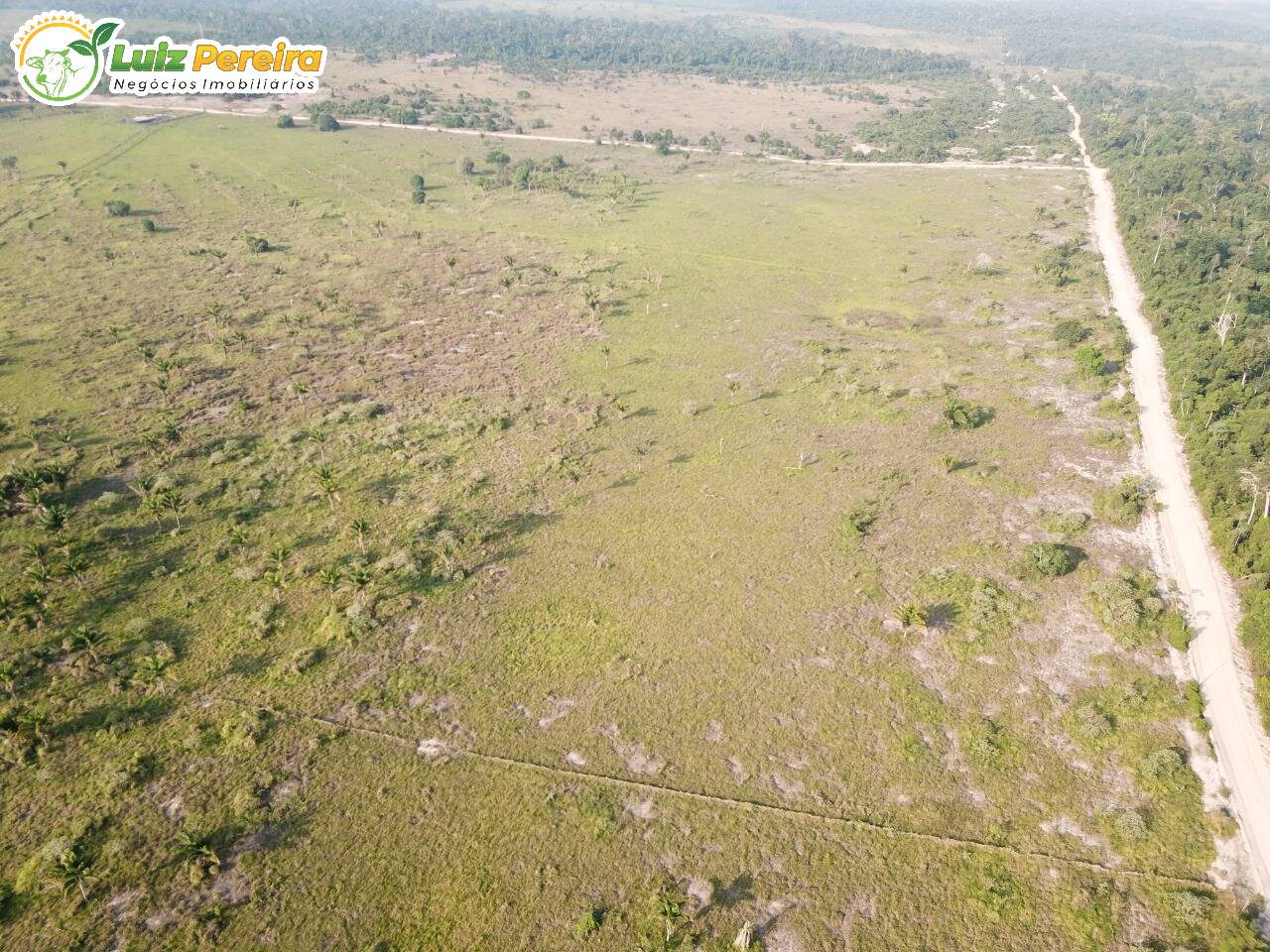 Fazenda à venda, 1587m² - Foto 25