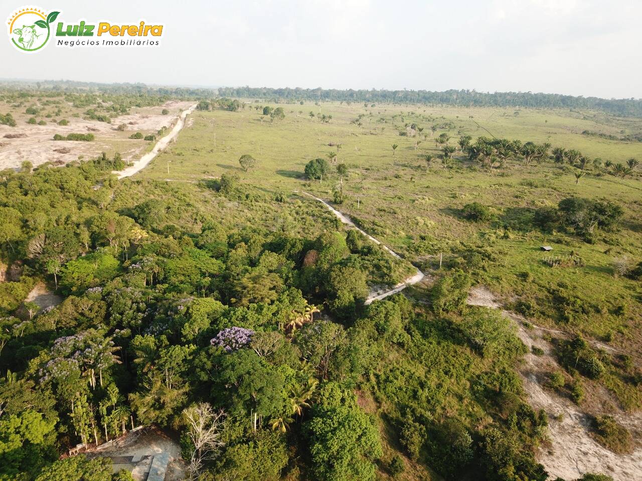 Fazenda à venda, 1587m² - Foto 5