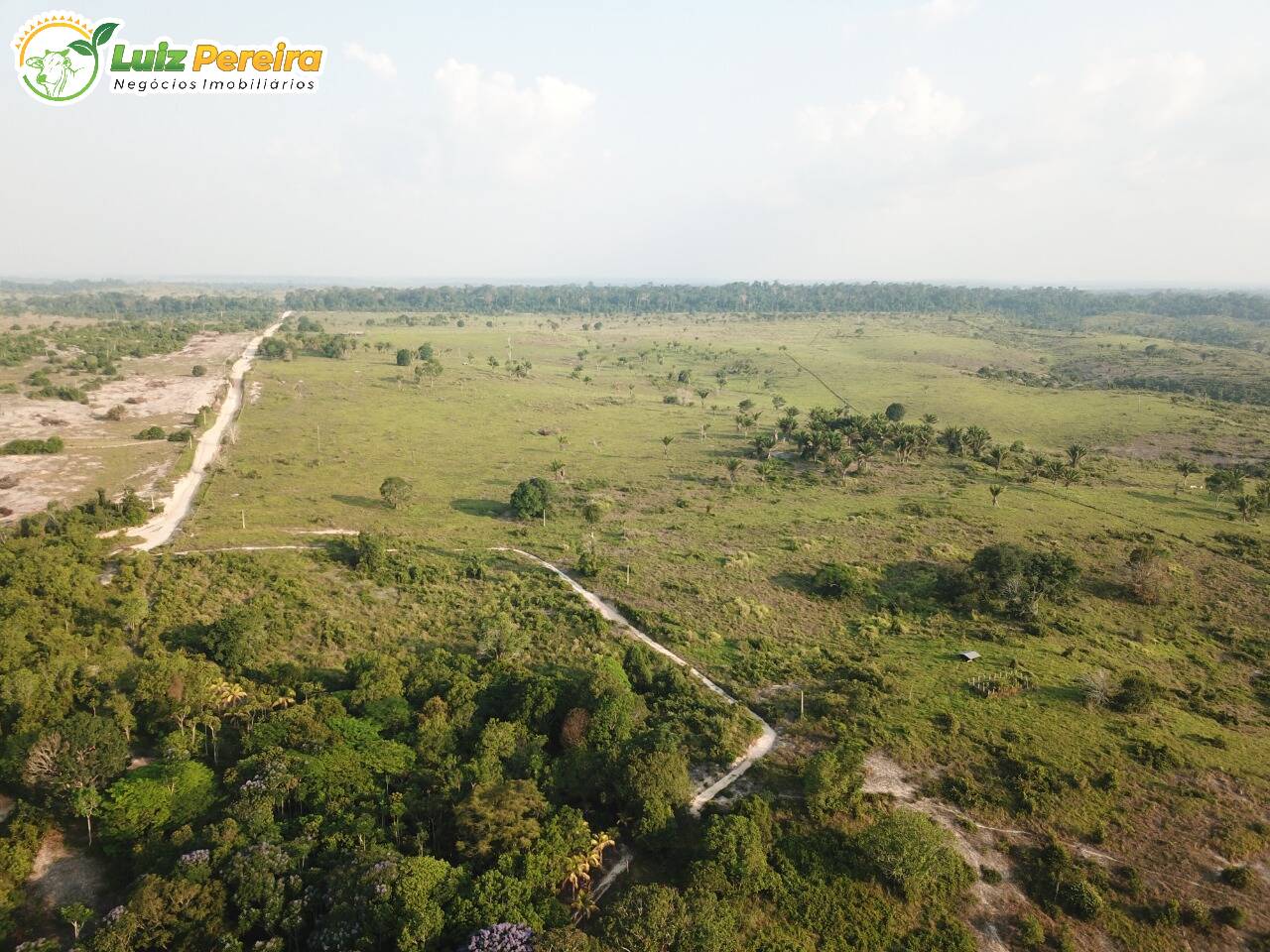 Fazenda à venda, 1587m² - Foto 6