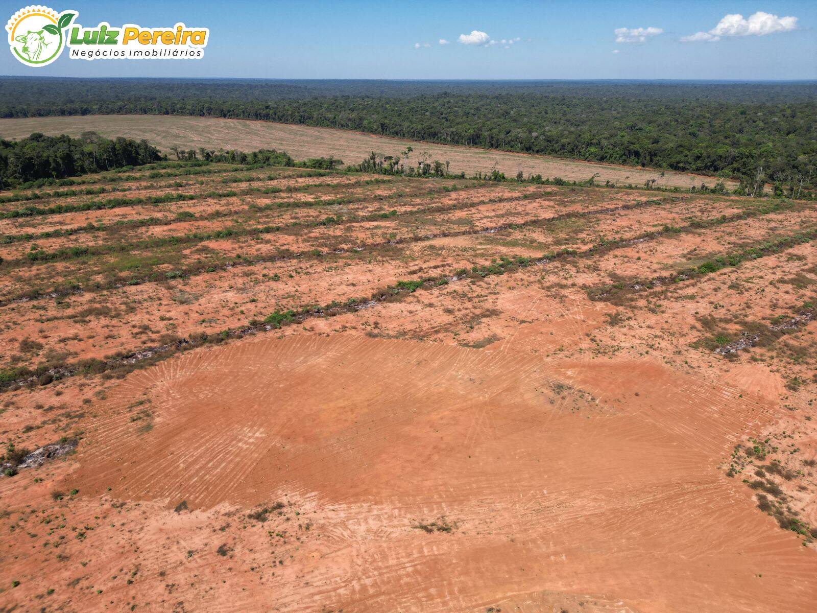 Fazenda à venda, 1973m² - Foto 5