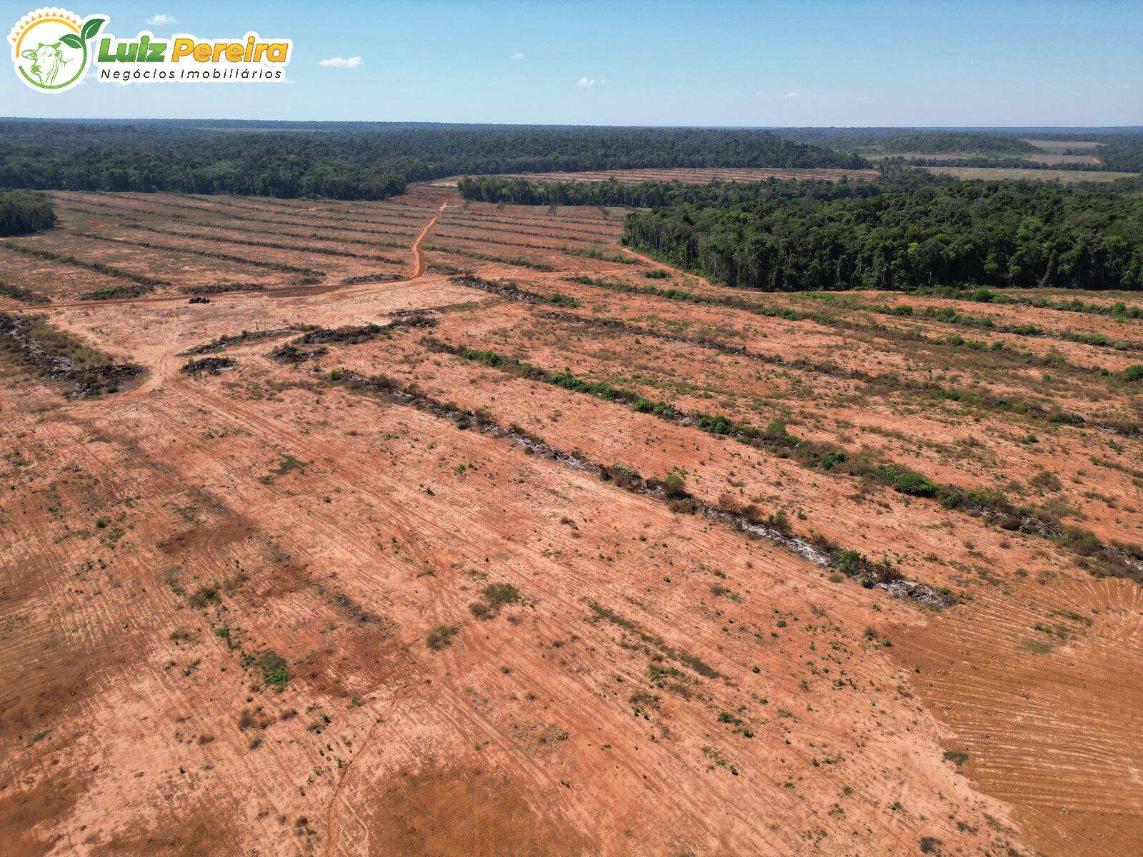 Fazenda à venda, 1973m² - Foto 6