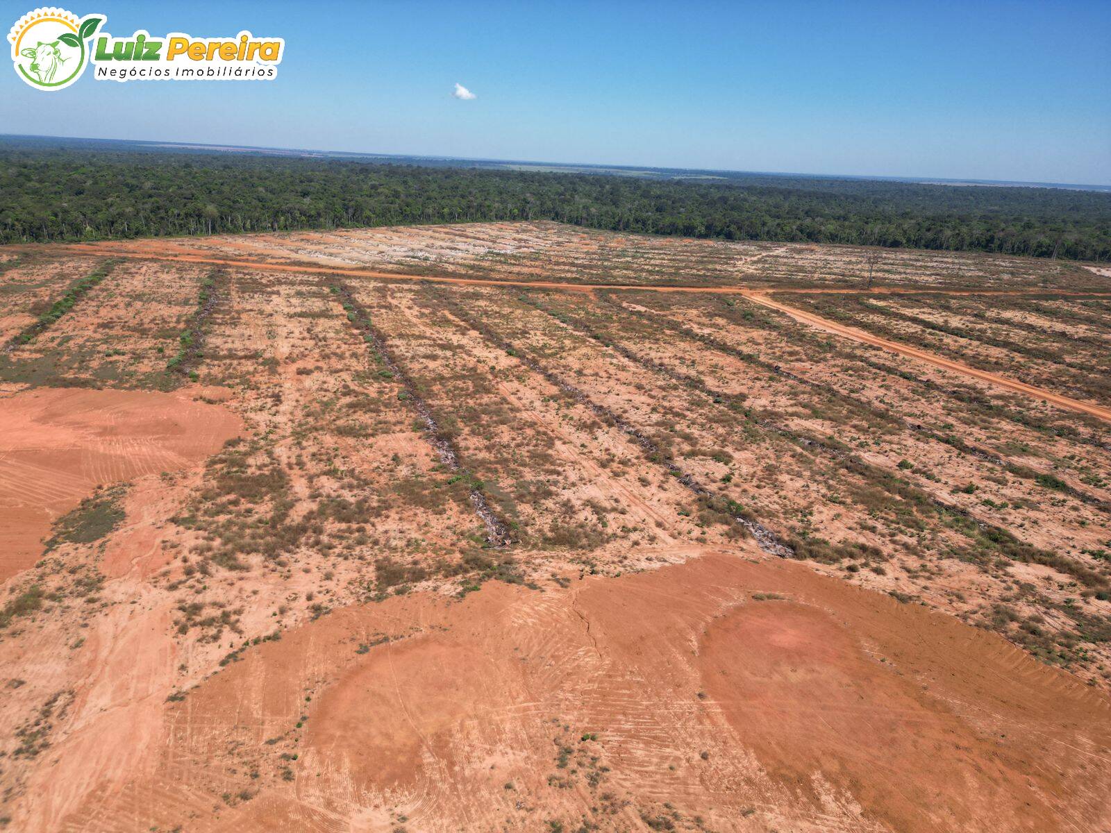 Fazenda à venda, 1973m² - Foto 4