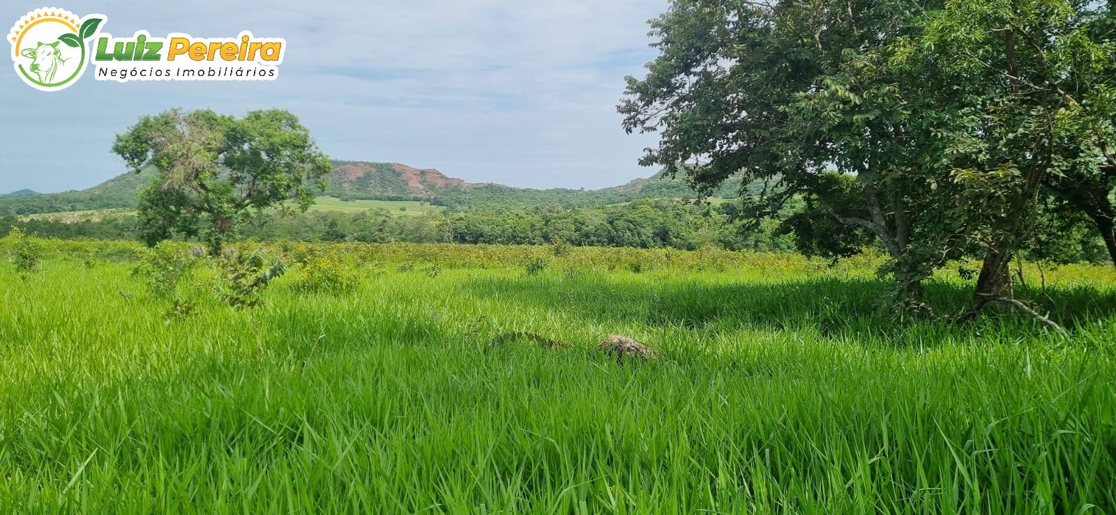 Fazenda à venda, 8760m² - Foto 1