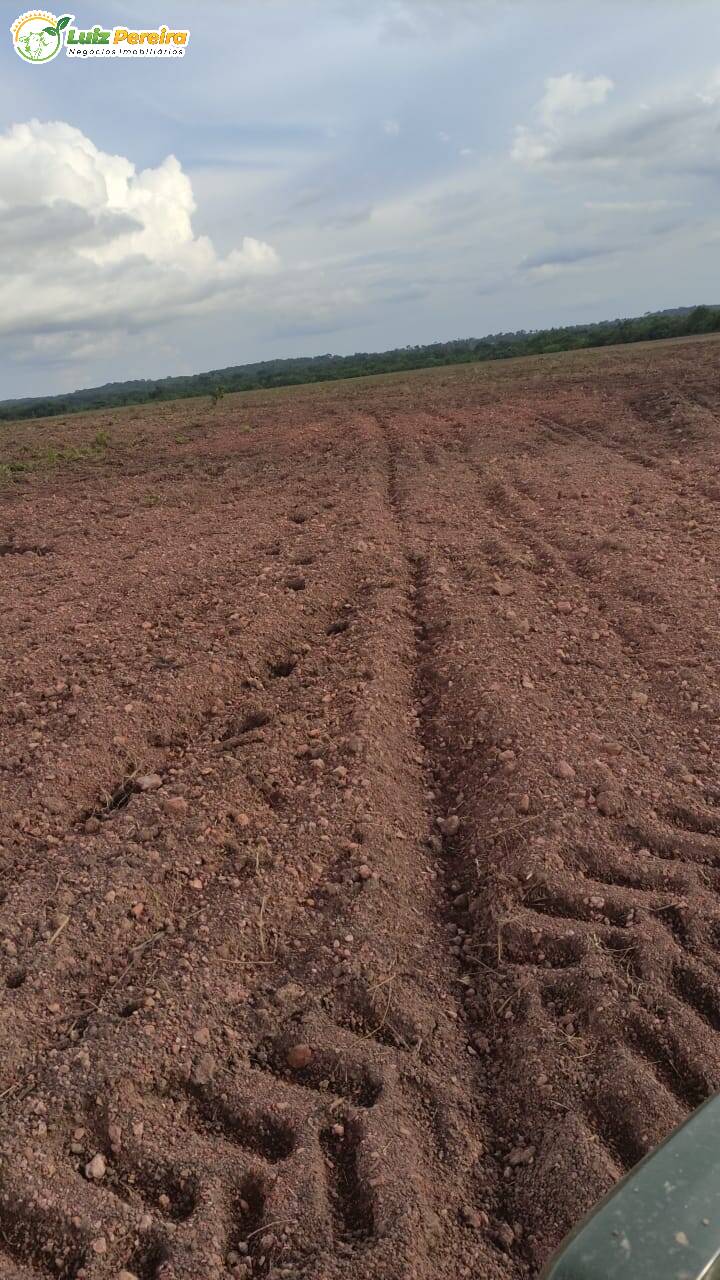 Fazenda à venda, 1654m² - Foto 16