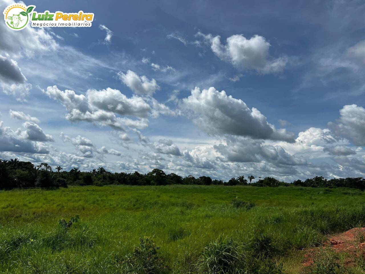 Fazenda à venda, 1654m² - Foto 1